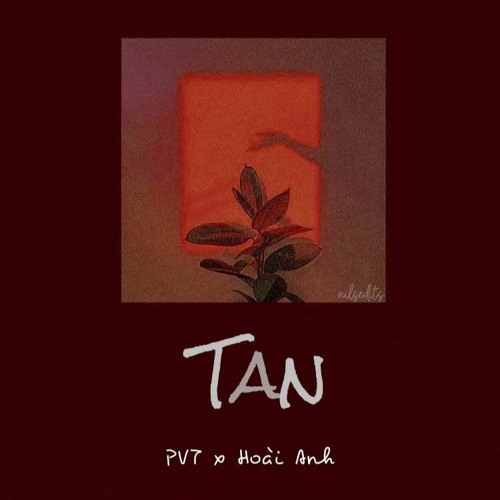 TAN - PVT x  Hoài Anh