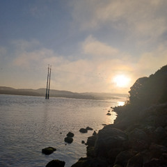 111525 pre pie night2_2live