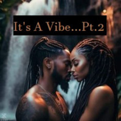 It'z A Vibe...Vol.2 (Adult Situations)
