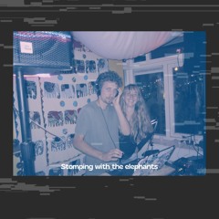 Stomping with the elephants