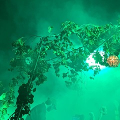 AFM live Dancity@Colleaura 20 06 2025