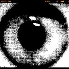 FULL SIGHT