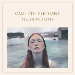 Cage The Elephant Sampled Beat (Prod. AJDIDIT)