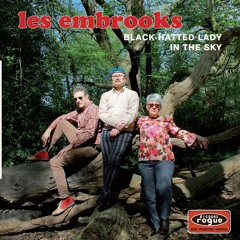 THE EMBROOKS—Black-Hatted Lady b/w In The Sky