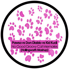 Pawsa vs Don Diablo vs Kid Kudi - No Good Groovy Cat Memories (Hollingworth Mashup)