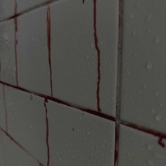 𝔬𝔫𝔢 𝔩𝔞𝔰𝔱 𝔡𝔞𝔫𝔠𝔢 • 𝔦𝔫𝔡𝔲𝔰𝔱𝔯𝔦𝔞𝔩