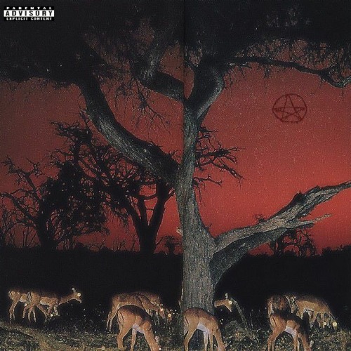 Não preciso de ninguém  [ prod. YSB x Fxel ]