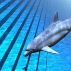 ᎴᎧᏝᎮᏂᎥᏁ.ᏇᏋᏰ (video in desc)