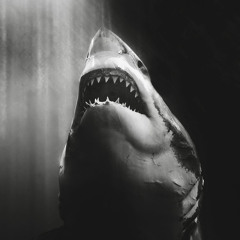 big fish.