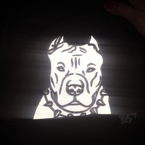 Pra(Killa'Gramm) & Masha Hima - Ошейник