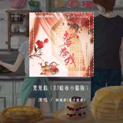邓寓君(等什么君) - 鸳鸯戏（DJ哈市小鹏版）「哎呦小情郎你莫愁 此生只为你挽红袖」【動態歌詞/pīn yīn gē cí】#邓寓君 #鸳鸯戏 #動態歌詞