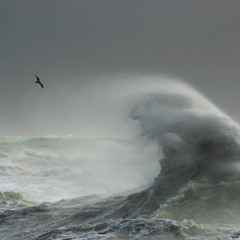 you are my girl [prod. sorrow bringer] *johan kim cover*