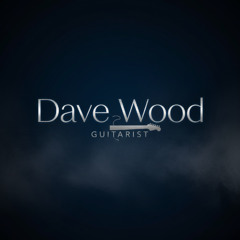 I cant make you love me (Cover)