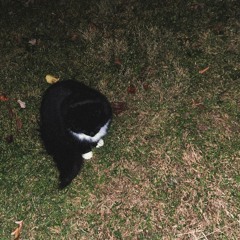 2018 wasn’t half bad (prod. miercoles)