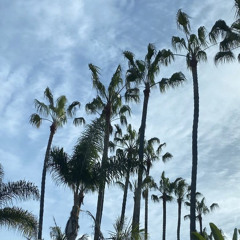 Summer (Ft. vvsDripify)