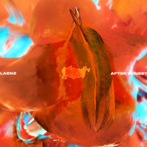 pi pi pi premiere: Laenz - Echoes Until (WZY004)