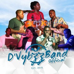 D VYBZZ BAND  Put Your Back In It RIDDIM