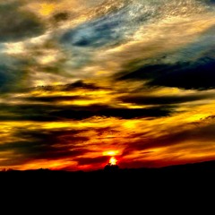 Future Golden Horizon