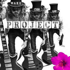 Project Wake Me Up