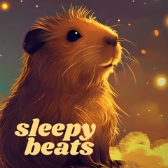 Sleepy Beats #2