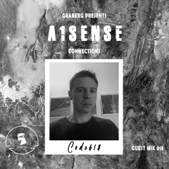 A1 Sense Connections 018 - Code618