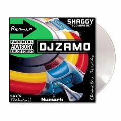 DjZamo - Shaggy vs Sky's The Limit ((Boombastic RMX)) [Collector]