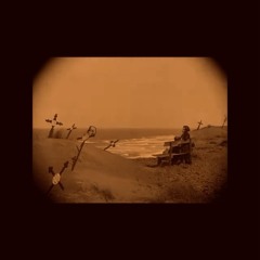 The Cruelty of Sun