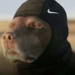 THOTBREAKER FREESTYLE