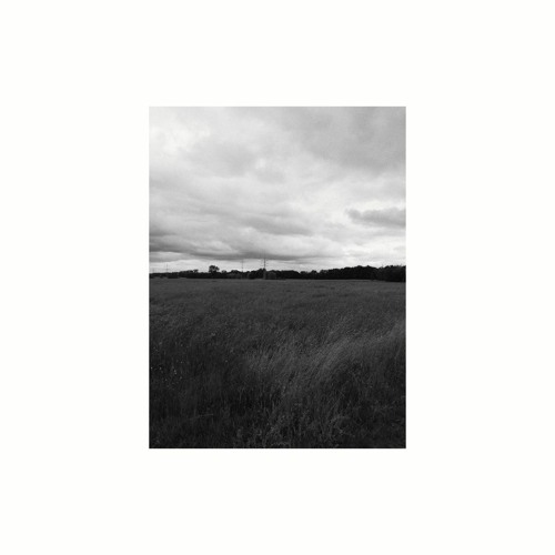 1977 intelligence overview