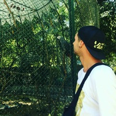 Daniel Cavaleiro - Drive