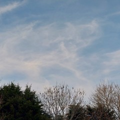 Workshop Sines and Tings