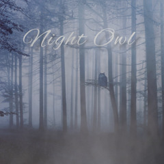 The Night Owl