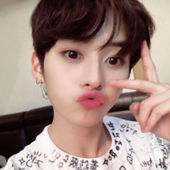 Back Door - Stray Kids