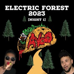 Electric Forest 2023 - Silent Disco 6.22.23 (NIGHT 1)