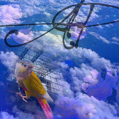 ghost in ur room - violet chambers