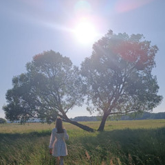 She was like a Dream