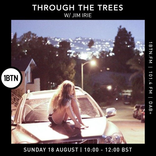 Ty : Through The Trees ft. Jim Irie - 18.08.24