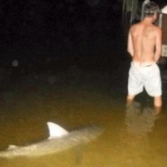 PISSINTHESTREETS x 6IX (Prod. FunkDaddy)