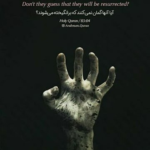 Mixed for Assem Amin