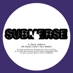 SUBMERSE | Eerie, Indiana [SUBB9613]
