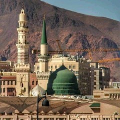 يا إمام الرسل - حفل ختام البردة (16أغسطس2023) - عبد الرحمن حسين