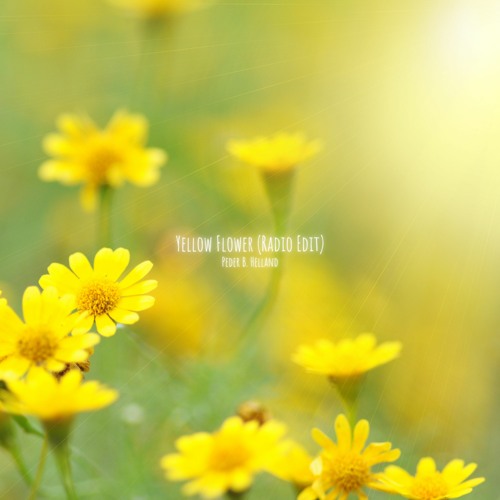 Peder B. Helland - Yellow Flower (Radio Edit)