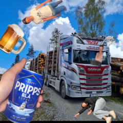TORRSKOG MEETS FLINKE