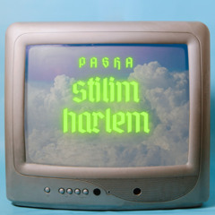stilim harlem