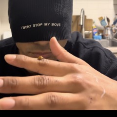 Where Have You Been (Bootleg)