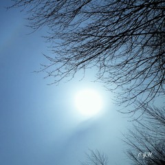 Ghostr1derQc - WereWolves feat. Moesense & Steelyvibe( Original Version )