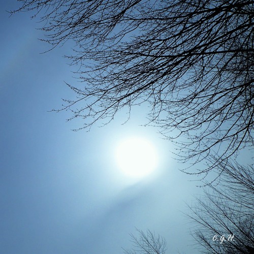 Ghostr1derQc - WereWolves feat. Moesense & Steelyvibe( Original Version )