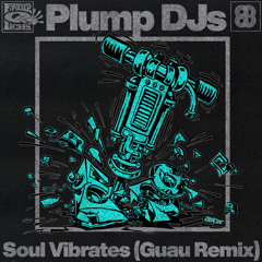 Soul Vibrates (Guau Remix)
