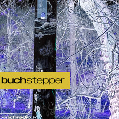 buchstepper