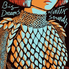 The Winter Sounds - Big Dreams